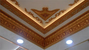 DGM15-A Ps Motif