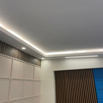 LED and Spot Compatible EPS Light Band image 2