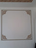 DGM24-P Motif image 1