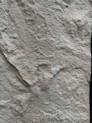 PU Stone Wall Panel Cream PU-A064