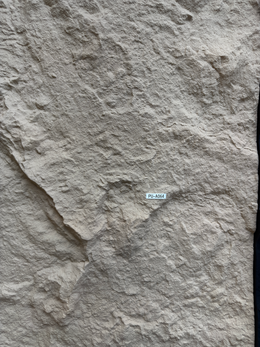 PU Stone Wall Panel Cream PU-A064