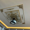 DD120160-P 120x160 Palace Ceiling image 1