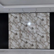 DL120-S PVC Panel image 1