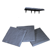DBT-ANTRASIT PVC STEPPING STONE image 0