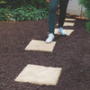 DBT-BEJ PVC STEPPING STONE image 1